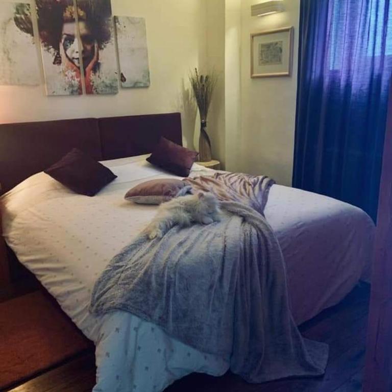 Vila Dragana - Three-Bedroom Chalet - 14