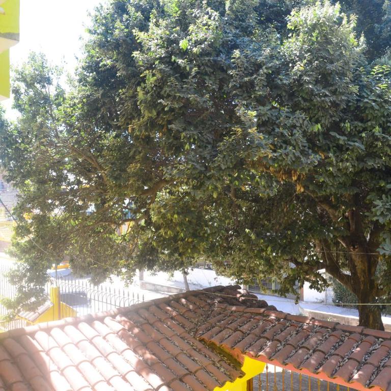 Hansa Departameto - Apartamento de 1 dormitorio - 20