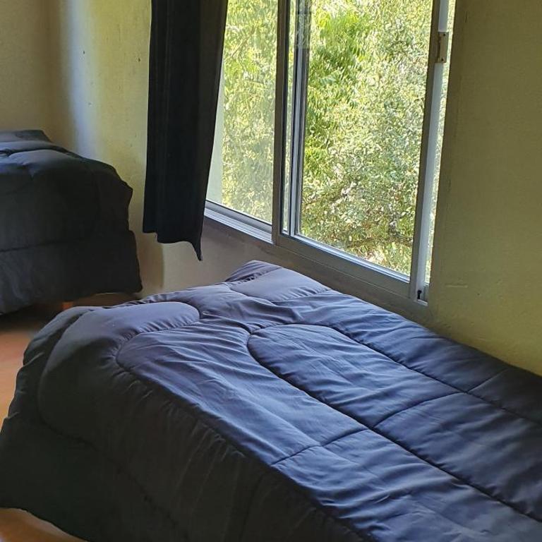 AMANU Casa Unica en el delta de Tigre a solo 5' para 30 personas - Villa - 14