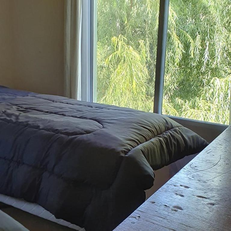 AMANU Casa Unica en el delta de Tigre a solo 5' para 30 personas - Villa - 17