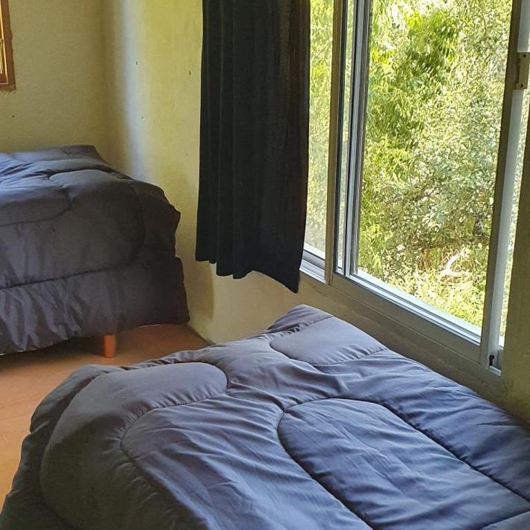 AMANU Casa Unica en el delta de Tigre a solo 5' para 30 personas - Villa - 20