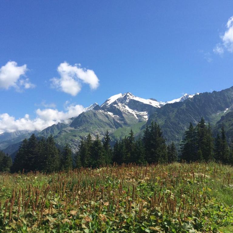 Bel appartement au décor Montagnard - 80m2 - Apartment - 31