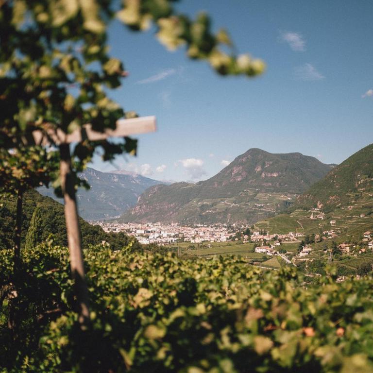 Pitzner - Winery & Suites - Appartamento con 1 Camera da Letto - 19