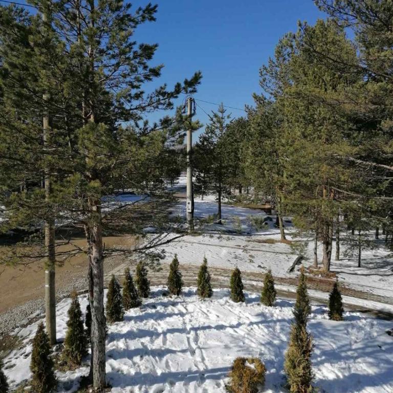 Milan ex SMILE 2 - Apartman sa 1 Spavaćom Sobom - 36