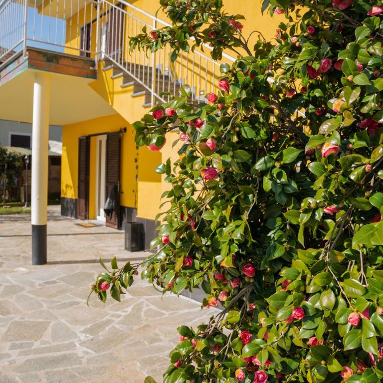 Agricanto - Appartamento con 1 Camera da Letto - 5