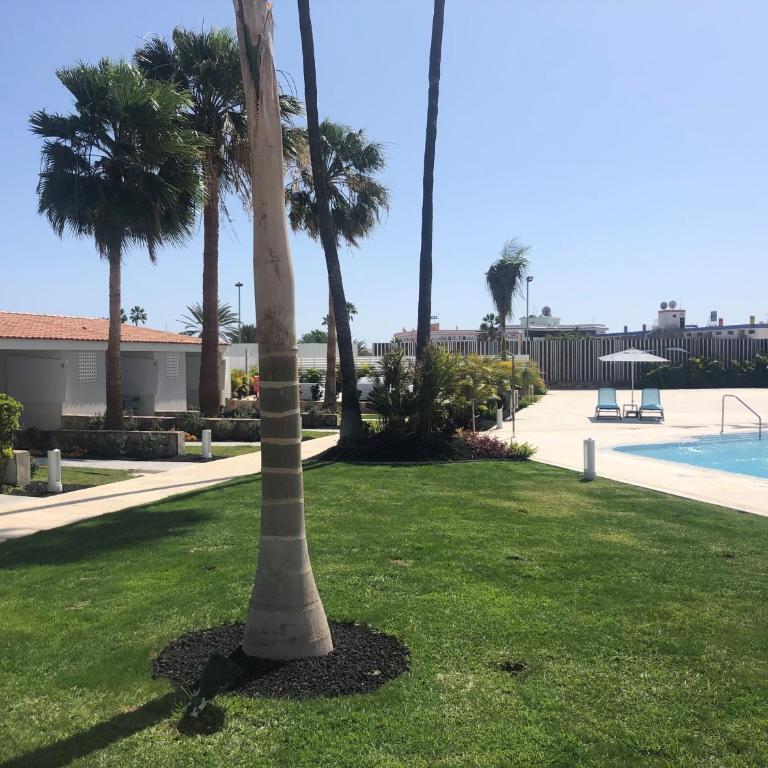 Relaxia Los Girasoles Bungalows - Bungalow (2 adultos + 1 niño) - 16