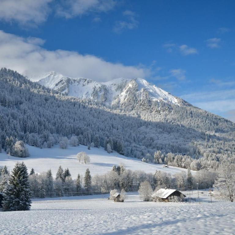 Chalet Cannelle - Chambre Double ou Lits Jumeaux Deluxe - Vue sur Montagne - 7