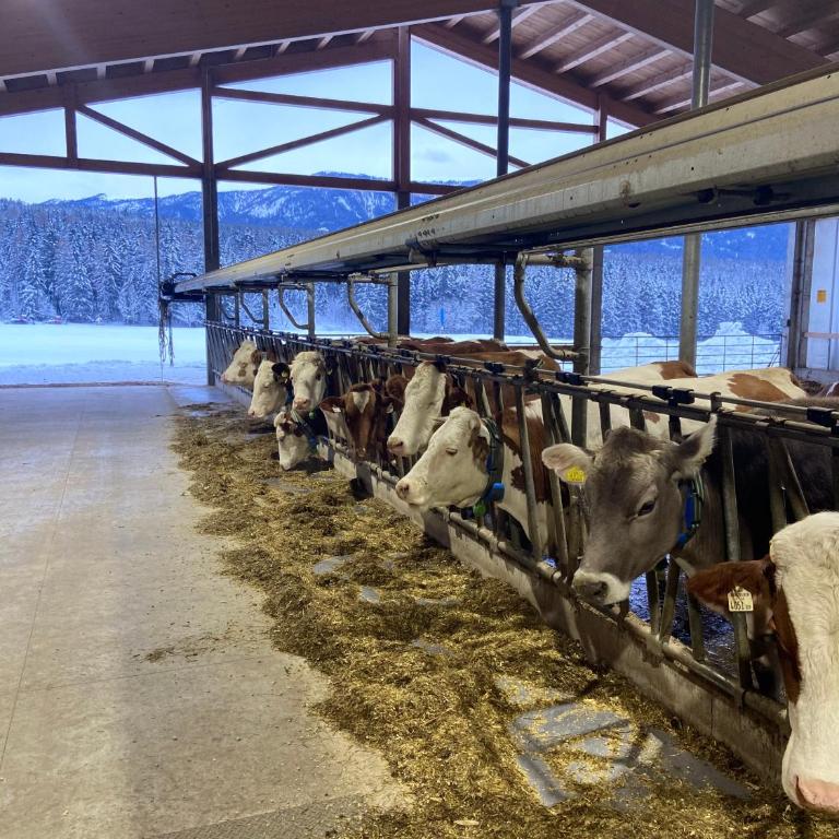 Ban Hilba - Appartamento con 3 Camere da Letto - 17