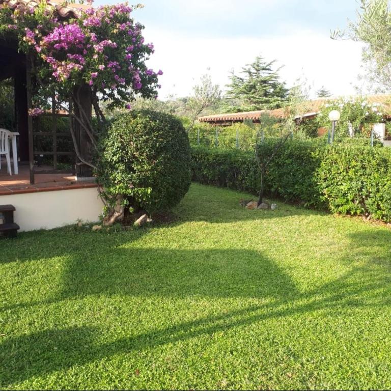 Villetta Bouganville - Casa Vacanze - 5