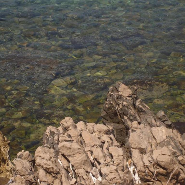 Apartmans Hari - Studio with Balcony and Sea View (4 Adults) - 7