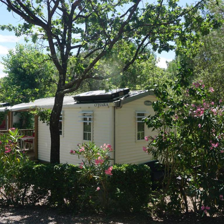 2 bedroom chalet for 5 persons at Camping Leï Suves - JoyCasa - Chalet 2 Chambres - 8