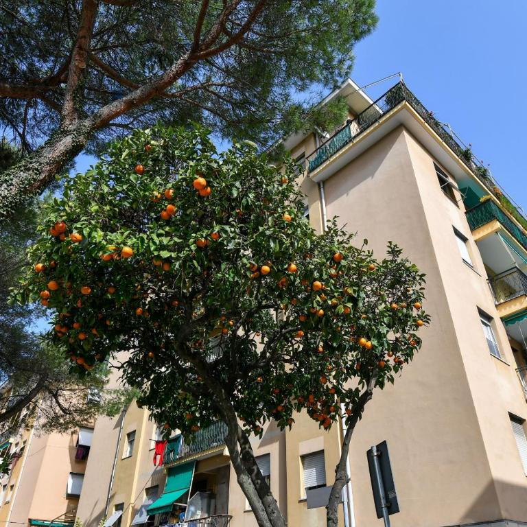 Una Finestra su Villa Durazzo by Wonderful Italy - Appartamento con 2 Camere da Letto - 26