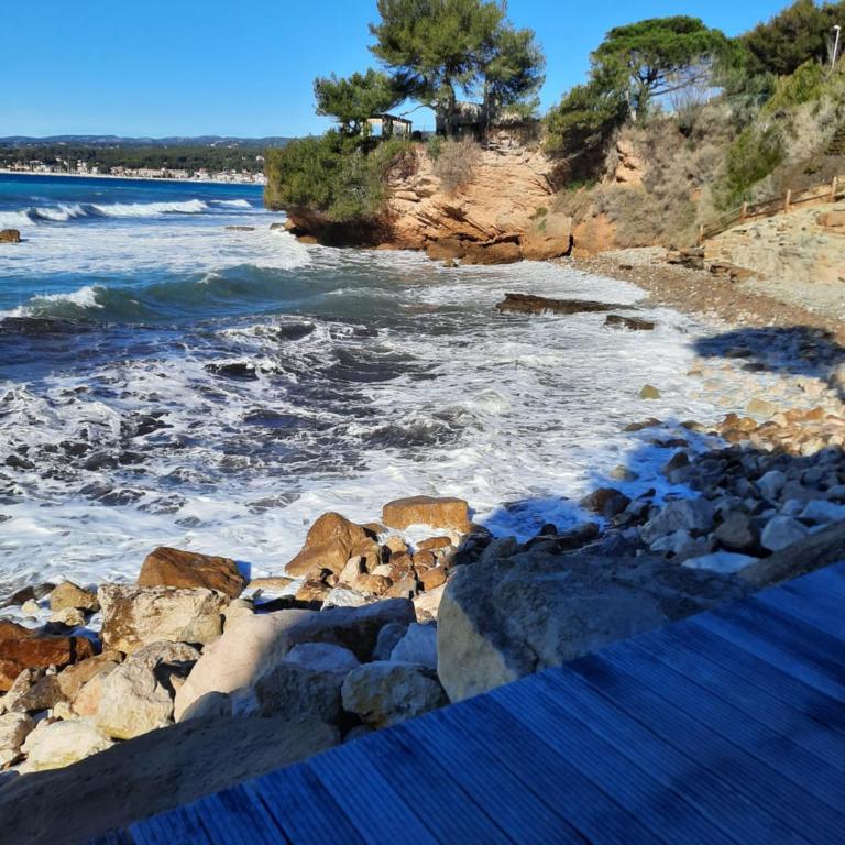 Les Aigues Marines - Appartement 1 Chambre - 38