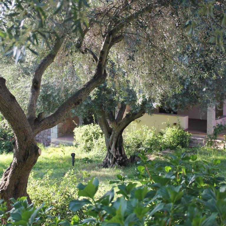 Residence Approdo Verde - Appartamento con 2 Camere da Letto - 8