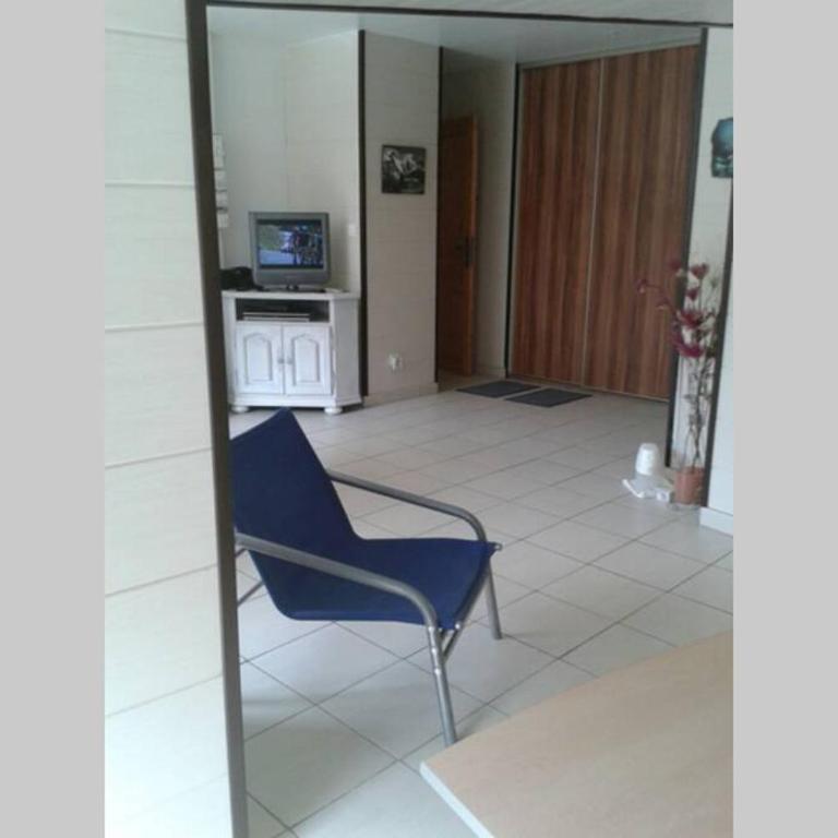 CURE THERMALE OU VACANCES D'ETE AU MONT DORE - Apartment with Mountain View - 8