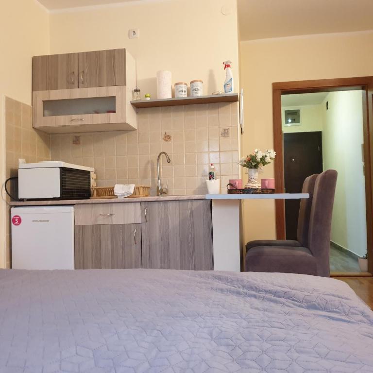 Studio Dunja - Studio Apartment - 12