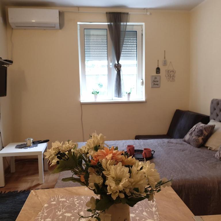 Studio Dunja - Studio Apartment - 8
