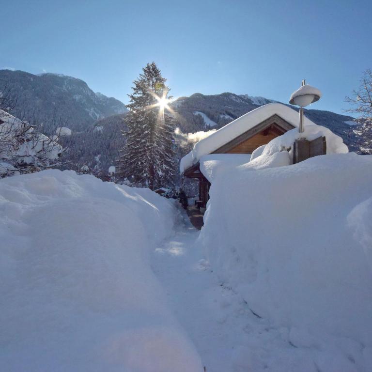 Haus Hasslacher - Three-Bedroom House - 30