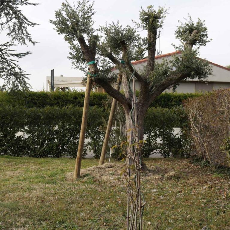 Apartment in Bardolino - Gardasee 39739 - Appartamento - 28