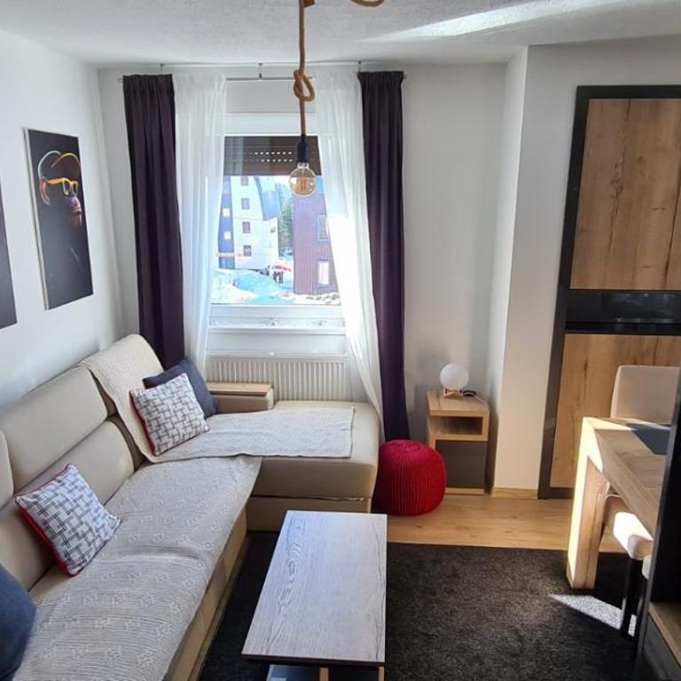 Full Moon Jahorina - One-Bedroom Apartment - 16