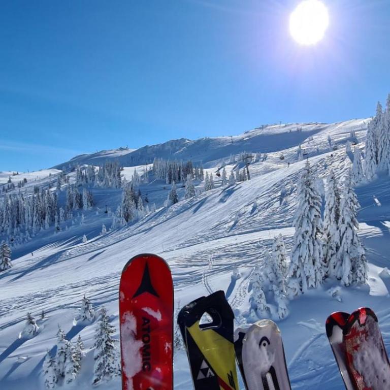 Full Moon Jahorina - One-Bedroom Apartment - 19