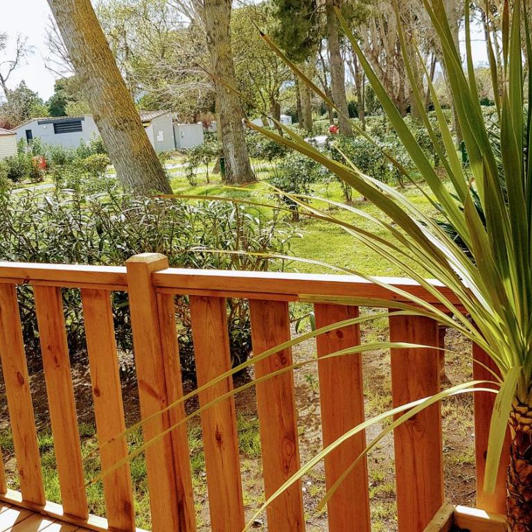 Mobile home De Luxe St Cyprien - Mobilheim - 6