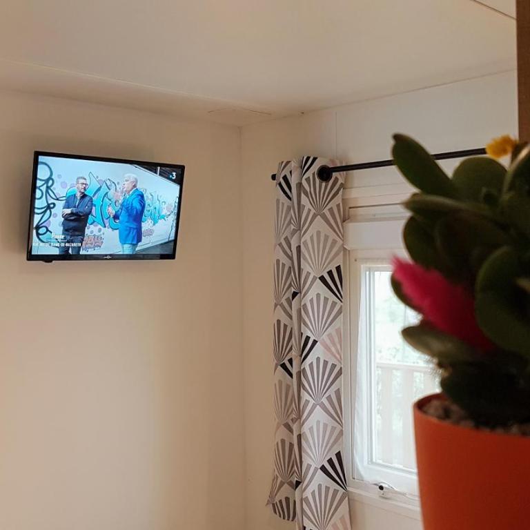 Mobile home De Luxe St Cyprien - Mobilheim - 21