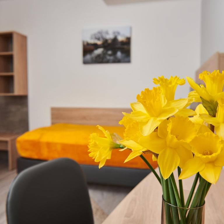 Zur Allacher Mühle - Large Single Room - 1