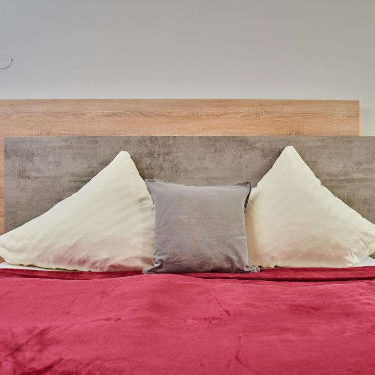 Zur Allacher Mühle - Double Room - 2