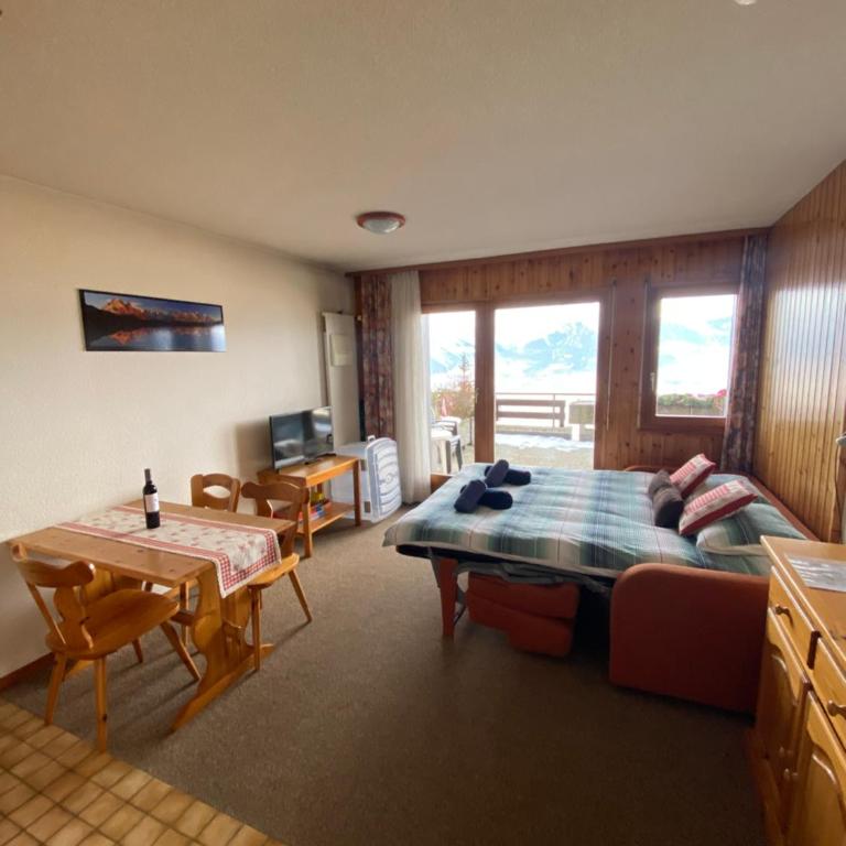 Studios Bellevue 1 et 2, ski lift 150m - Monolocale Familiare - 9