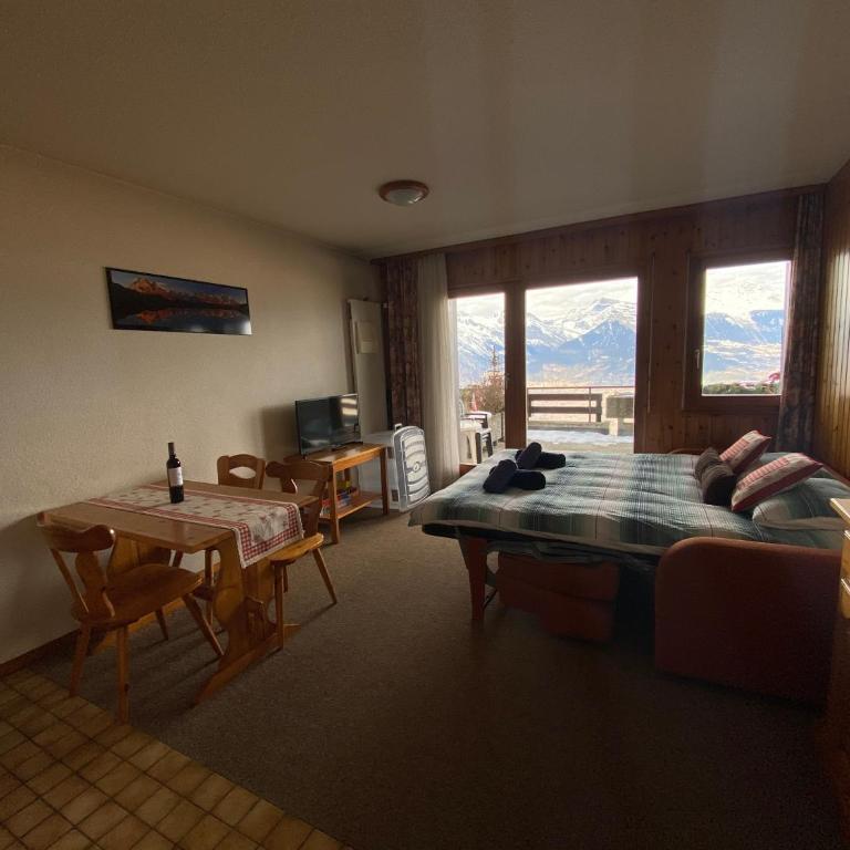 Studios Bellevue 1 et 2, ski lift 150m - Monolocale Familiare - 8