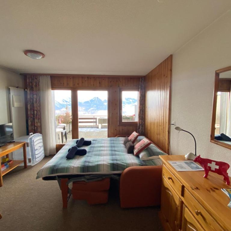 Studios Bellevue 1 et 2, ski lift 150m - Monolocale Familiare - 1
