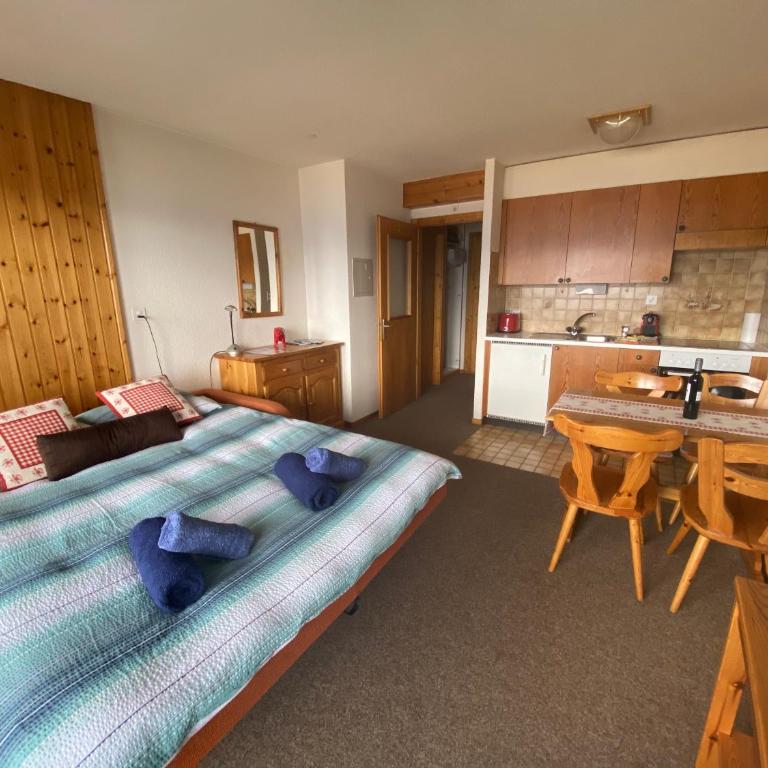 Studios Bellevue 1 et 2, ski lift 150m - Monolocale Familiare - 2