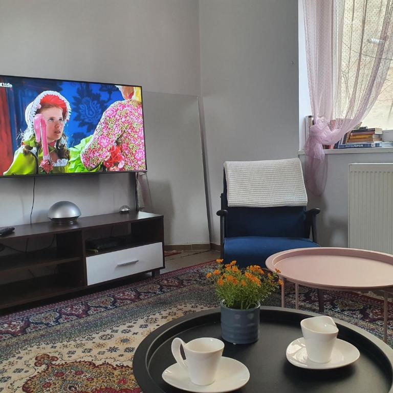 OLD TOWN Sarajevo center apartment 2+2 - Apartman sa 2 Spavaće Sobe - 7