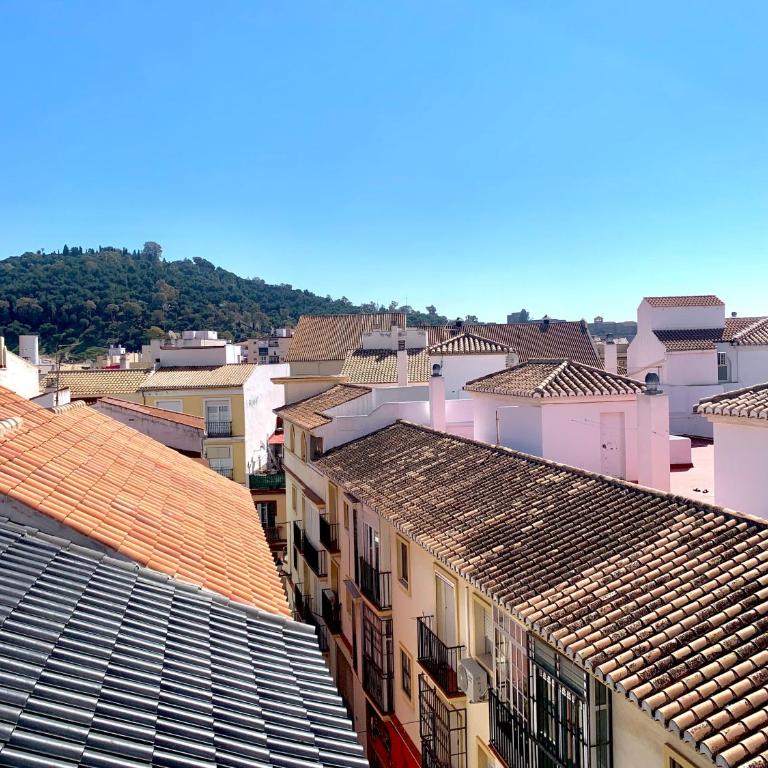 Homely Malaga Refino Loft D4 - Apartamento de 1 dormitorio - 18