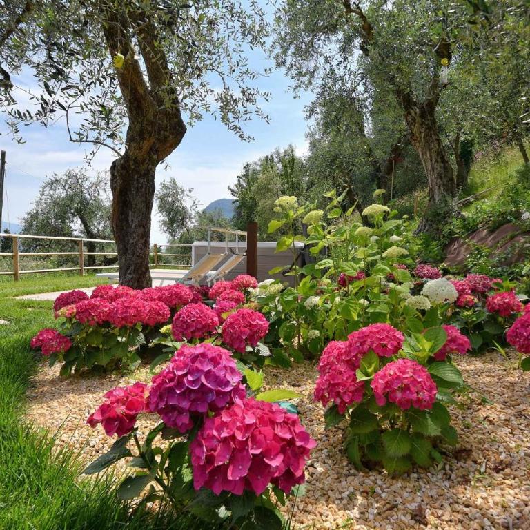 Apartments in Tremosine - Gardasee 34618 - Appartamento - 18