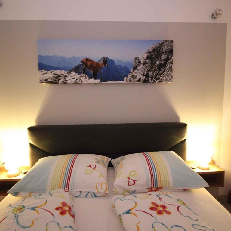 Apartments in Flattach - Kärnten 50 - Apartment - 2