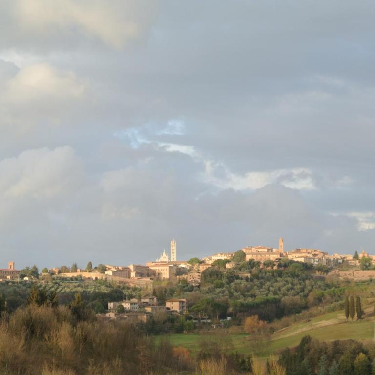 Villa Caprera - Appartamento con 1 Camera da Letto - 8