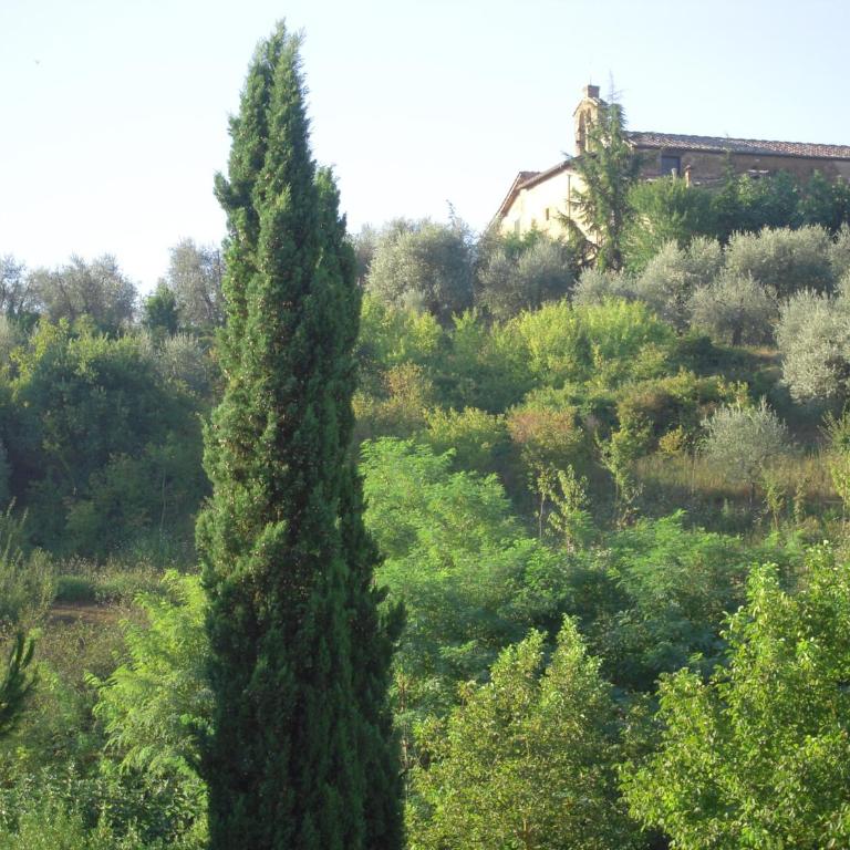 Villa Caprera - Appartamento con 1 Camera da Letto - 9