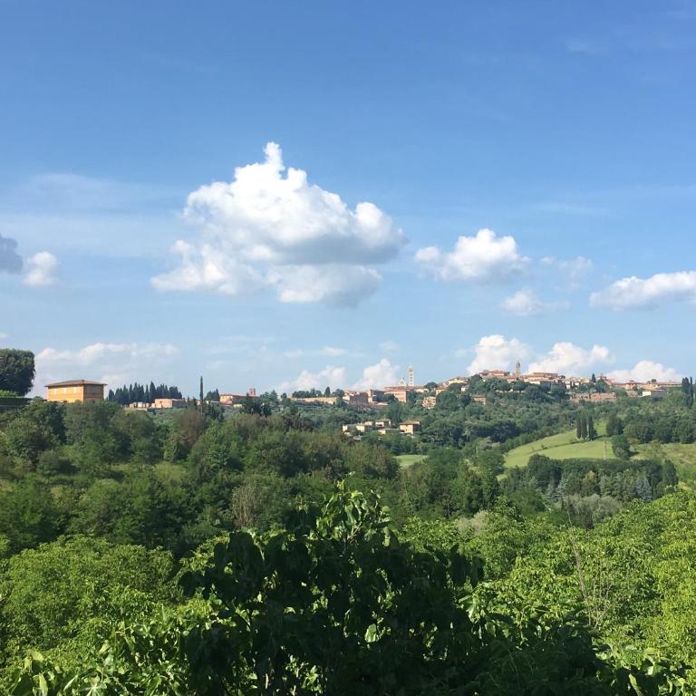 Villa Caprera - Appartamento con Vista Giardino - 12