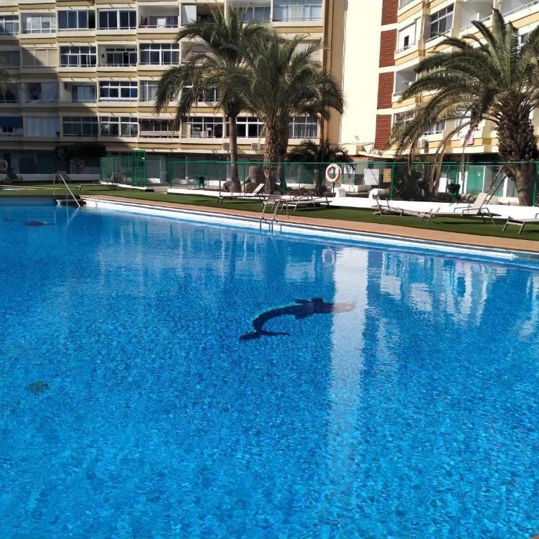 Los Molinos apartment Ocean View - Apartamento de 1 dormitorio - 29