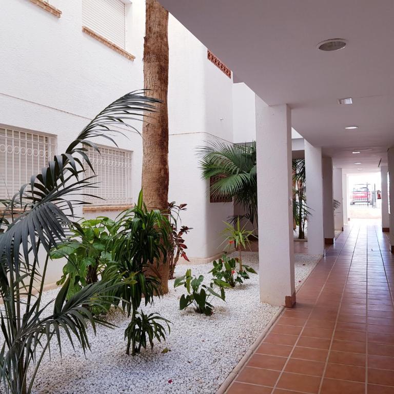 Apartment, Linnea Sol, Orihuela - Apartamento - 25