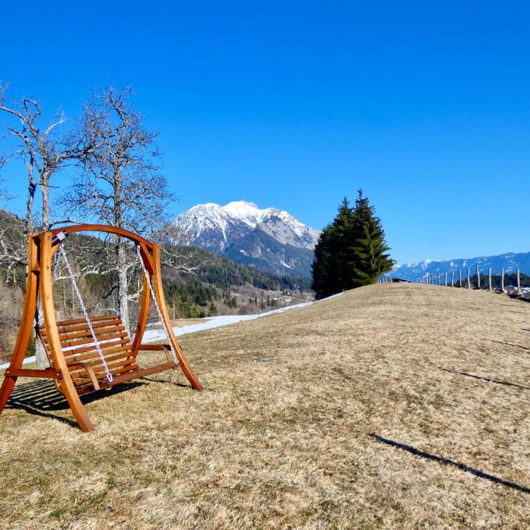 Haus Tilia Karinthië Appartementen - Appartamento con 2 Camere da Letto - 24
