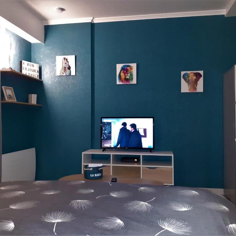 Studio Centre - Tout Confort - Tout à pied - Estudio con sofá cama - 25