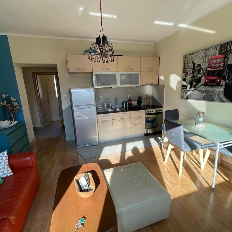 Downtown Apartment - One-Bedroom Apartment - 3