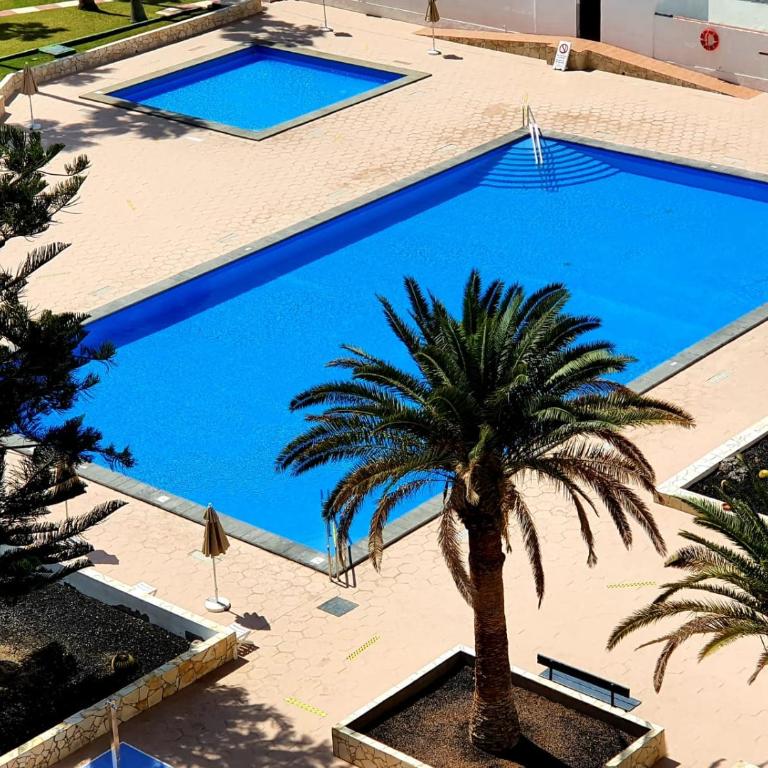Viña del Mar - Apartamento de 1 dormitorio con vistas al mar - 2