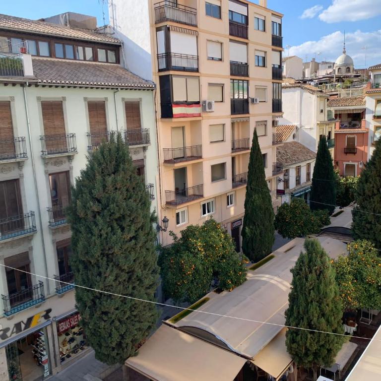 ECO CENTER GRANATENSIS (ÁTICO-CATEDRAL) - One-Bedroom Apartment - 35