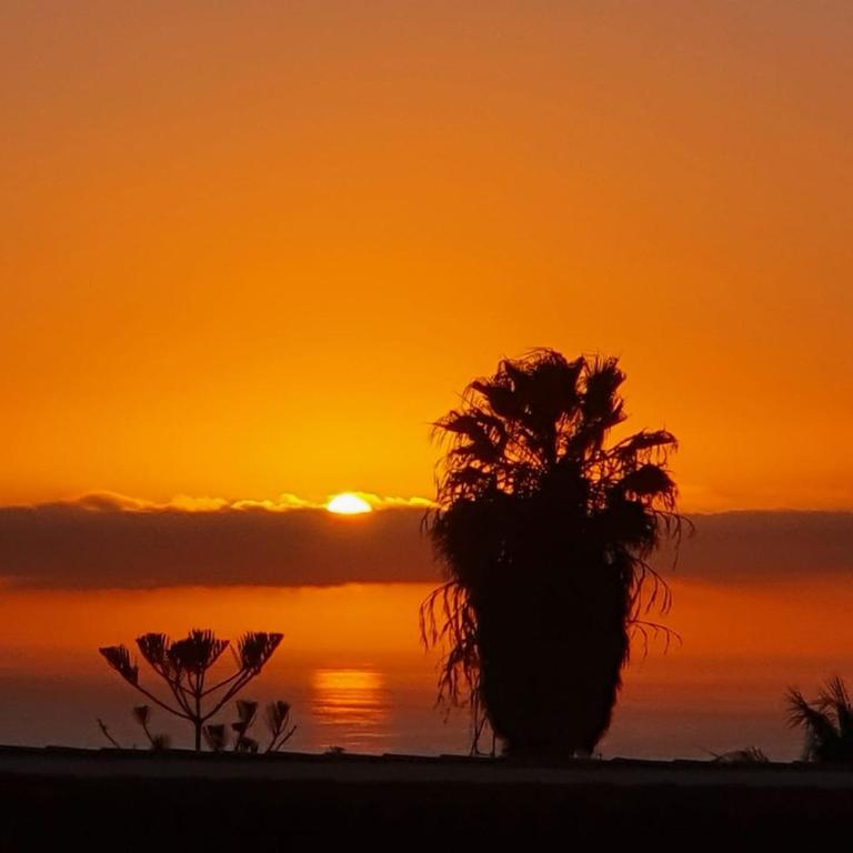 Viña del Mar - Apartamento de 1 dormitorio con vistas al mar - 16