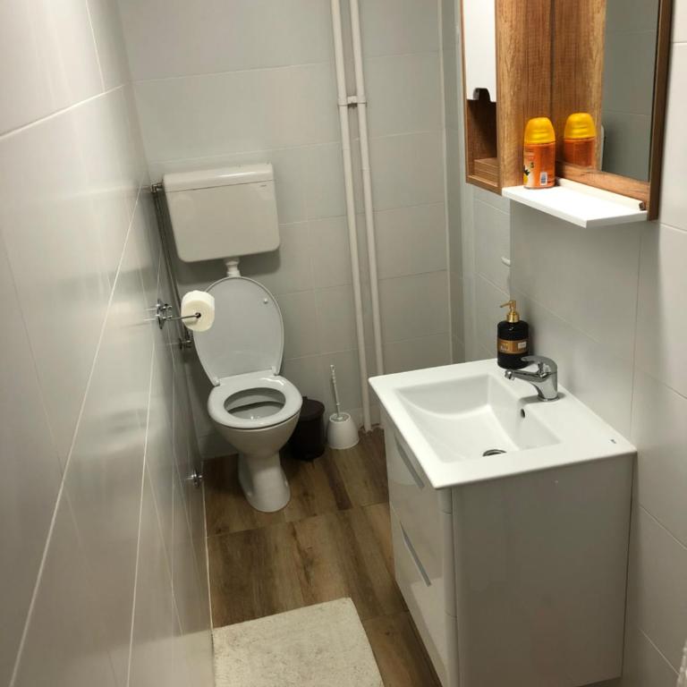 Modern Studio (Institut Majka i Dete) - Apartman sa 1 Spavaćom Sobom - 10