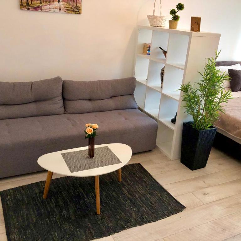 Modern Studio (Institut Majka i Dete) - Apartman sa 1 Spavaćom Sobom - 2